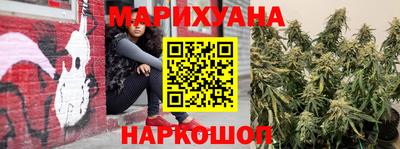 a pvp Шебекино