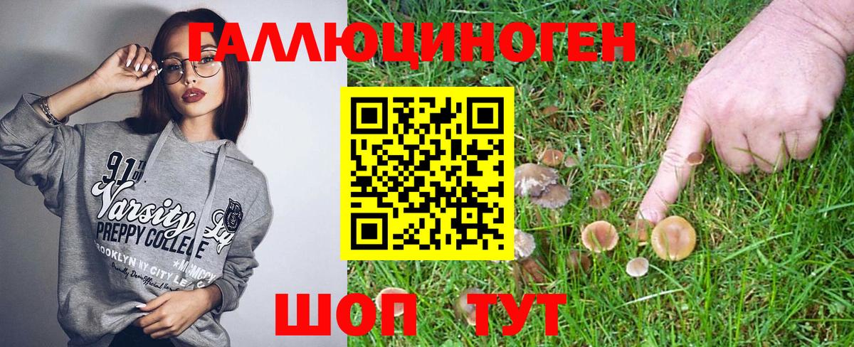 Мурино  Псилоцибиновые грибы прущие грибы  Вход с VPN 